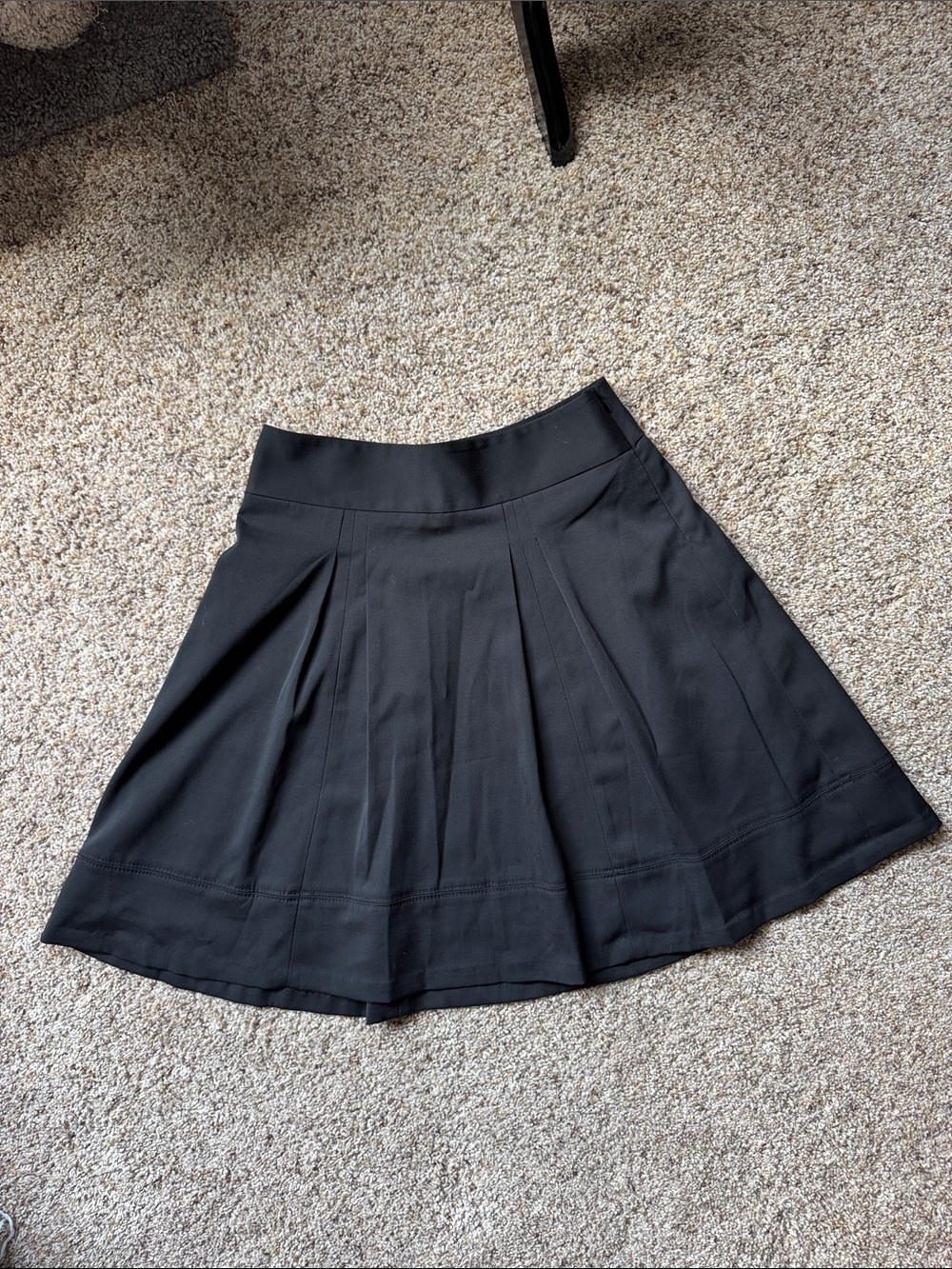 The Limited Black Semi Pleated A-line Skirt